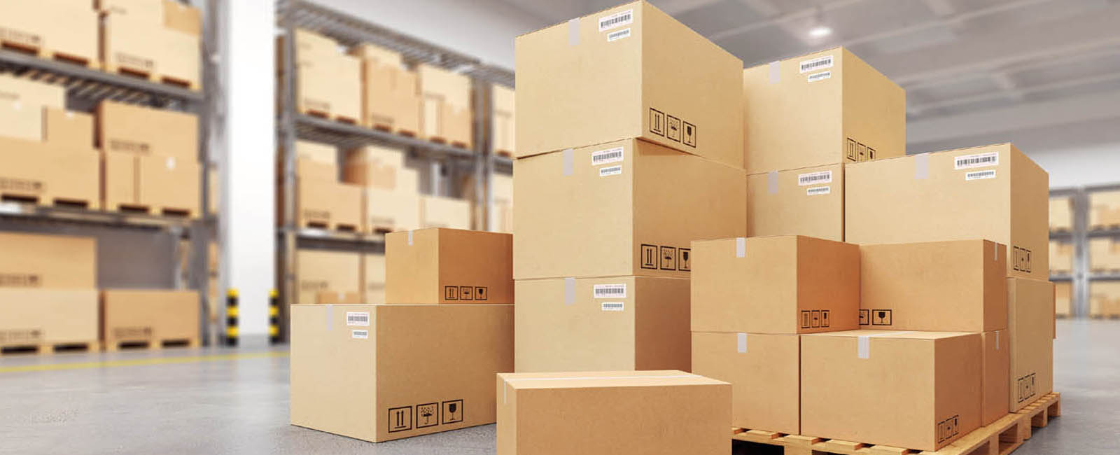 Fast and Best Packers and Movers